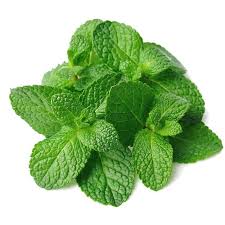 Feuille de menthe